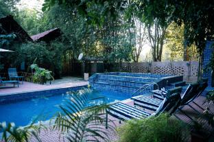 wilderness camp resort pench