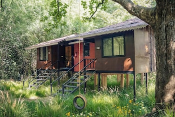 wilderness camp resort pench