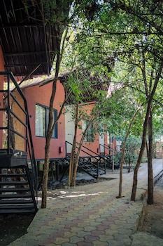 wilderness camp resort pench