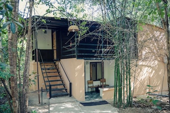 wilderness camp resort pench