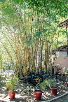 wilderness camp resort pench