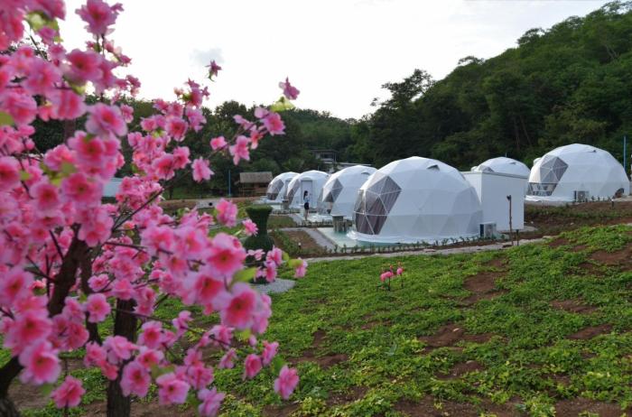 nino san glamping pak chong