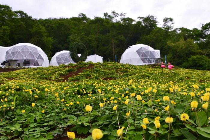 nino san glamping pak chong