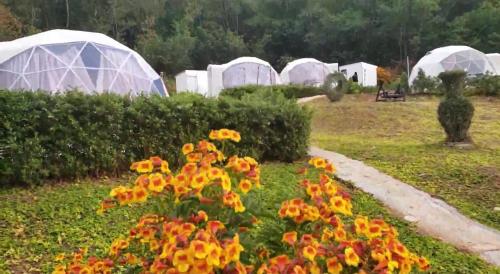 nino san glamping pak chong