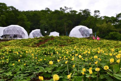 nino san glamping pak chong