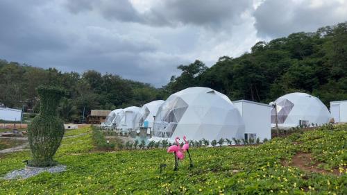 nino san glamping pak chong