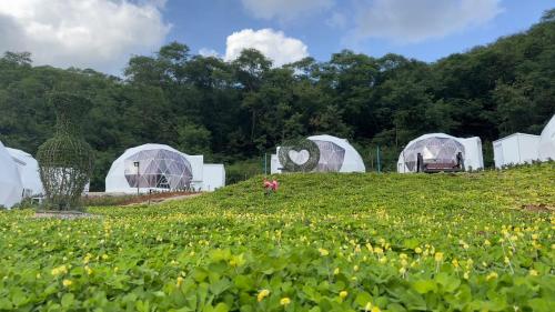 nino san glamping pak chong