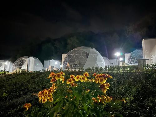 nino san glamping pak chong