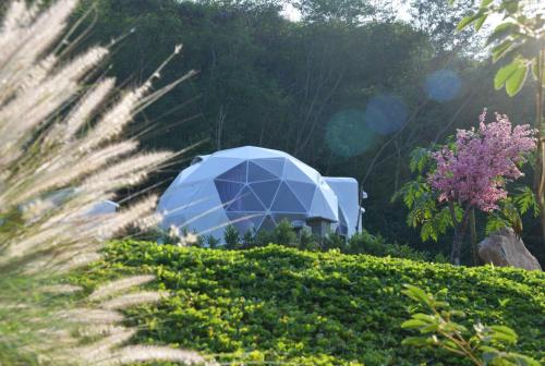 nino san glamping pak chong