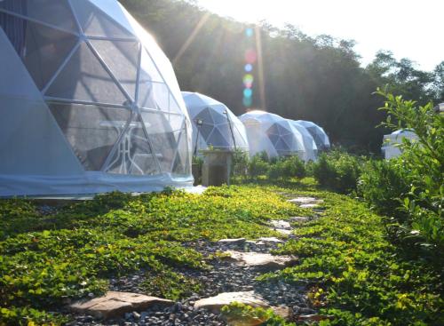 nino san glamping pak chong