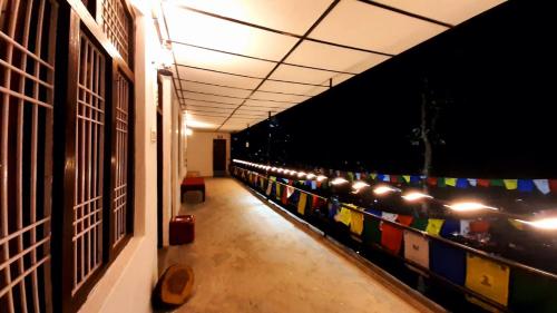 thrillomania mcleodganj