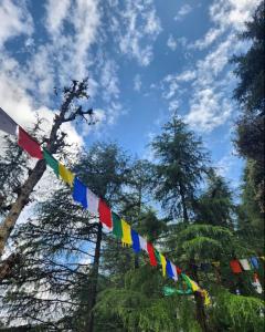 thrillomania mcleodganj