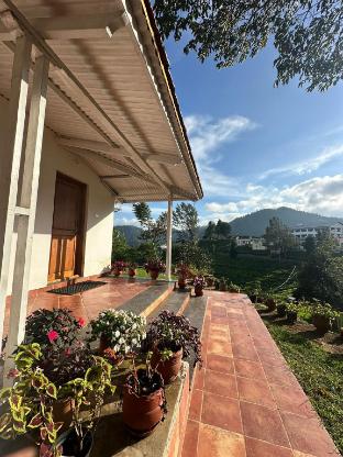 moksha infinity valley