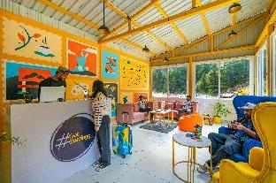 the social stays kasol