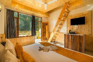 the social stays kasol