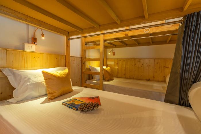 the social stays kasol