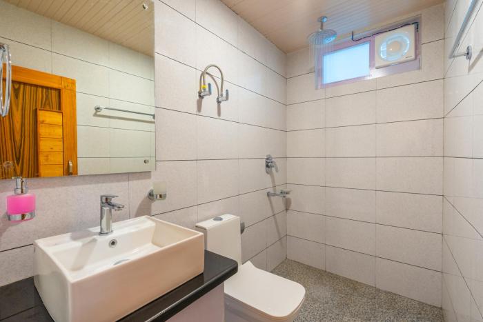 the social stays kasol