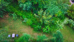 luxury room set osho villa