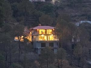 pihus nest kasauli