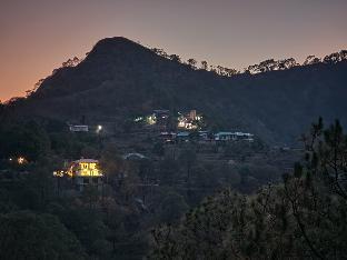 pihus nest kasauli