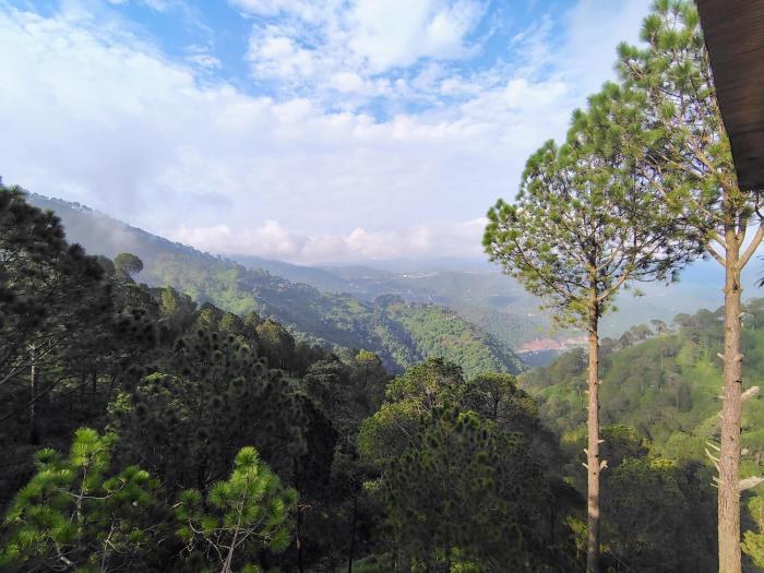 kasauli