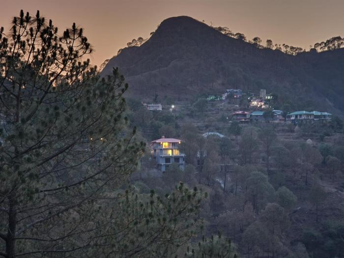 pihus nest kasauli