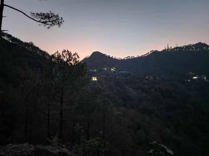 pihus nest kasauli
