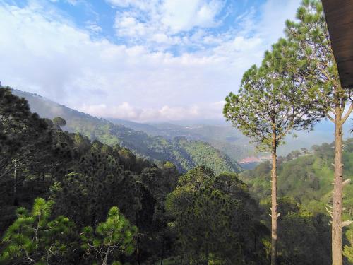 kasauli