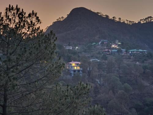 pihus nest kasauli