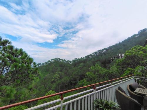 pihus nest kasauli