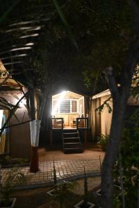 the whispering palms resort