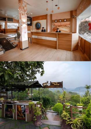 ayurgem ayurveda yoga and wellness retreat