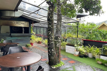 ayurgem ayurveda yoga and wellness retreat