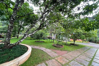 ayurgem ayurveda yoga and wellness retreat