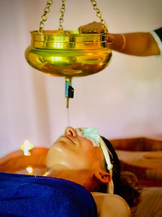 ayurgem ayurveda yoga and wellness retreat