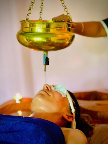 ayurgem ayurveda yoga and wellness retreat