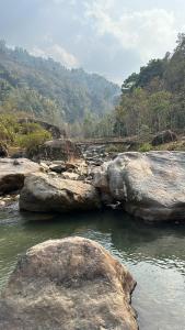 chhota haazri by the rajbari bawali