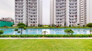 priya living flower valley