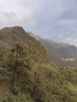 amar resort chopta tungnath