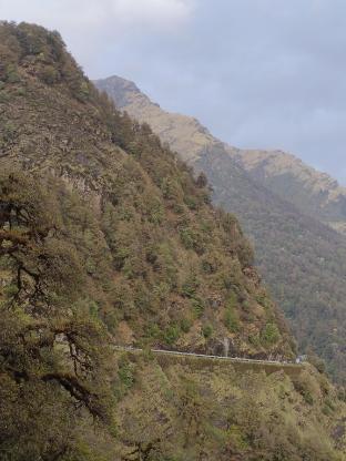 Amar Resort Chopta Tungnath,,2 star