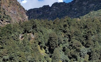 amar resort chopta tungnath