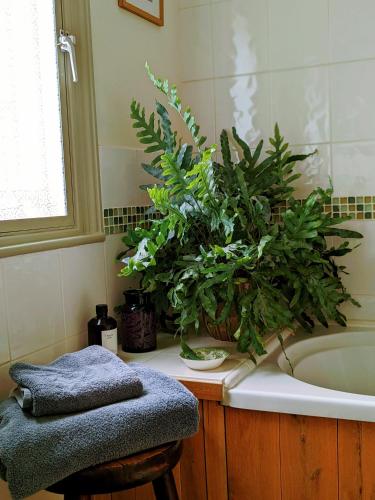 garden view apartment
