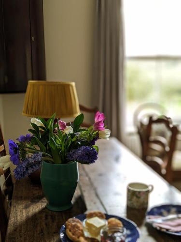 garden view apartment