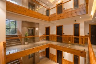 alt life luxe himalayan crown mcelodganj