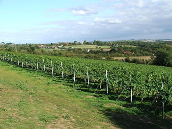 chelmsford