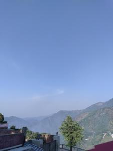 the dhailas nest inn