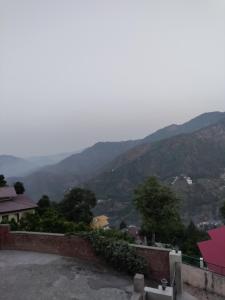 the dhailas nest inn