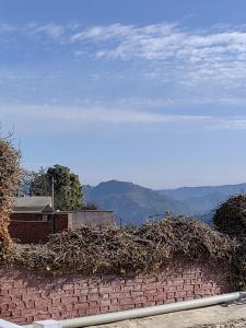 the dhailas nest inn