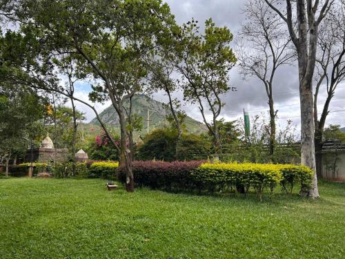 la serene nandihills