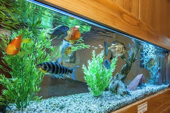 Quality Inn Conference Center Logansport,Kokomo>>Indiana,3 star